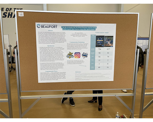 Student Research and Scholarship Day Poster 3