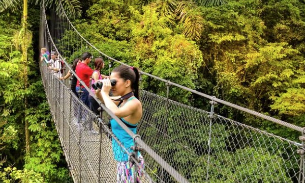 Mistico scenic hanging bridge