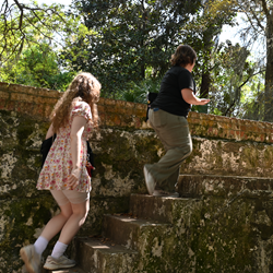 Research & Experiential Learning