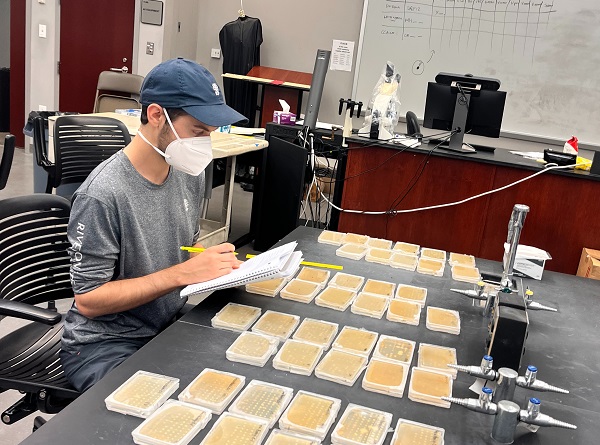 Matthew Holt working in Biomedical Sciences