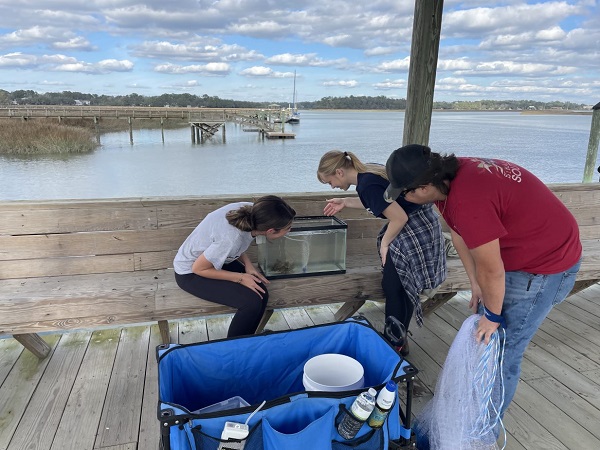 Observing Marine Life in Tank on Dock