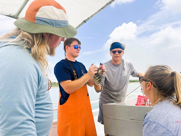 Vagabond cruise internship