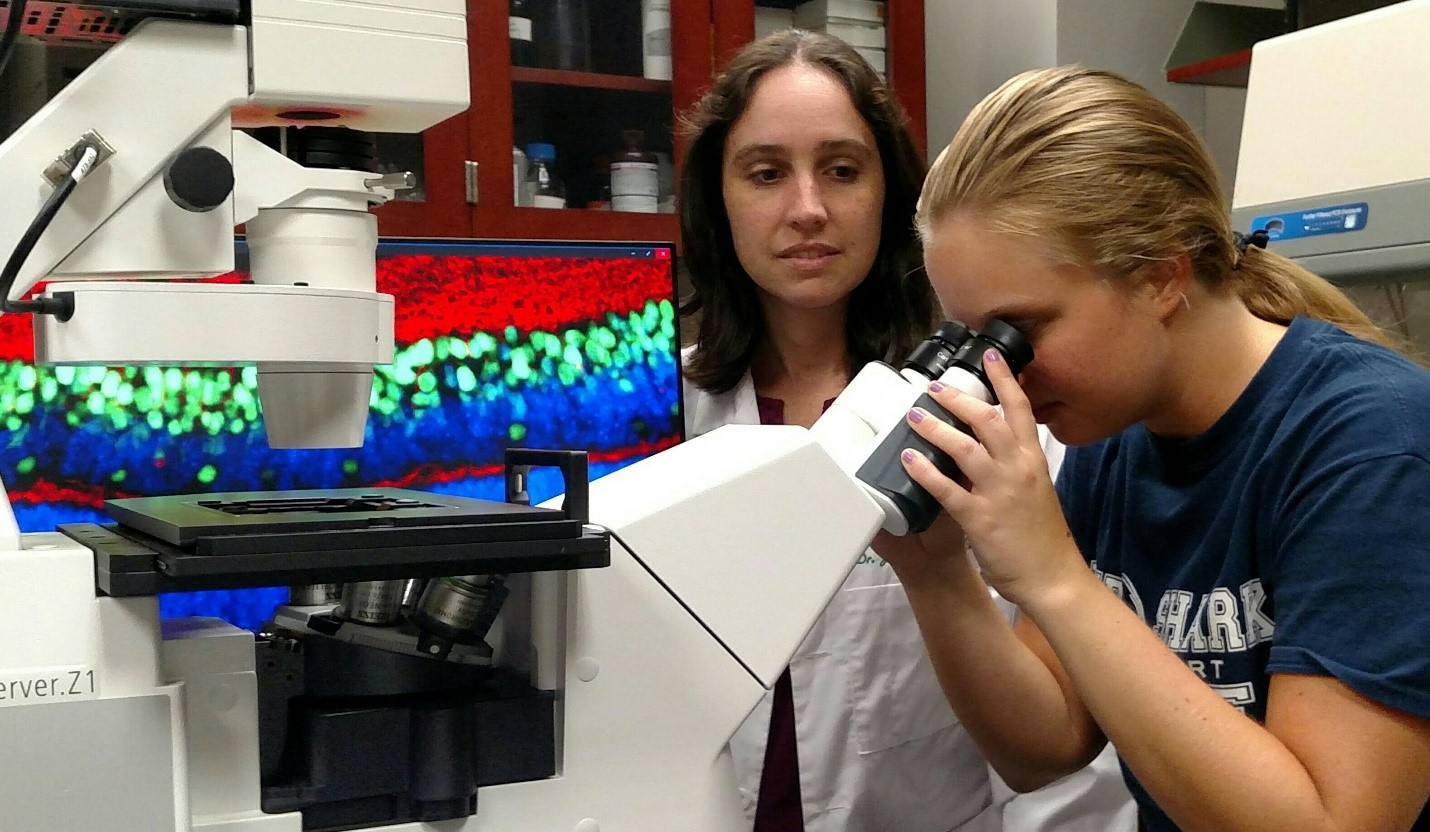Biomedical Research