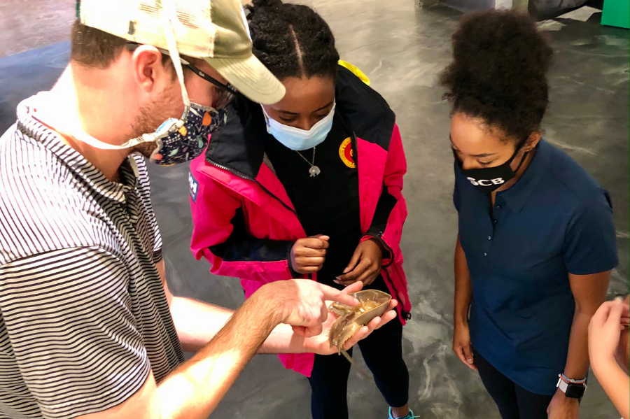 Students Sampling Dock