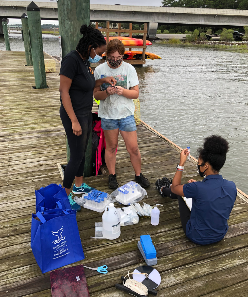 Students Sampling Dock