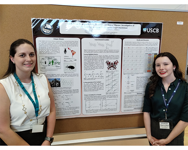 Student Research and Scholarship Day Poster 11