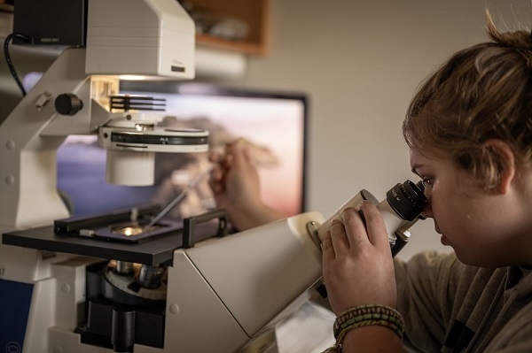 Looking into Microscope