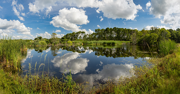 Pinckney Island