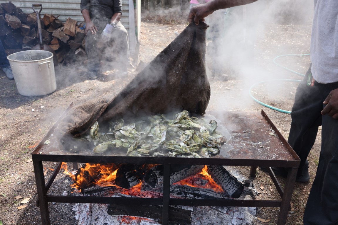 Cooking Oysters at the Gullah Oyster Festival