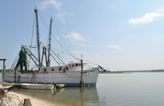 Boat in Harbor