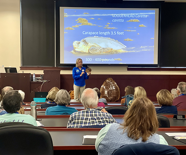 OLLI lecture sea turtles