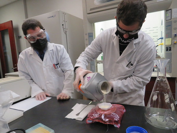 In the last fiscal year, faculty at the University of South Carolina Beaufort secured $2.8 million of grant funding for research — an exponential increase compared to past years. Dr. Edward D’Antonio is one of the grant recipients, for his project “Early Stage Drug Discovery for Coronavirus Disease 2019.” In the last fiscal year, faculty at the University of South Carolina Beaufort secured $2.8 million of grant funding for research — an exponential increase compared to past years. Dr. Edward D’Antonio is one of the grant recipients, for his project “Early Stage Drug Discovery for Coronavirus Disease 2019.”