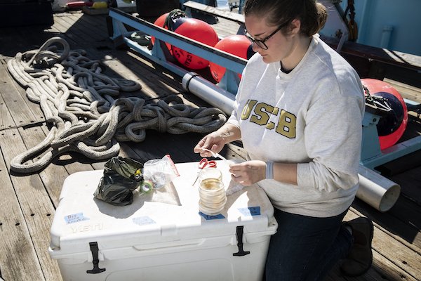 Tori Sember plates bacteria collected from a shark. Photo credit: Chris Ross/OCEARCH Tori Sember plates bacteria collected from a shark. Photo credit: Chris Ross/OCEARCH