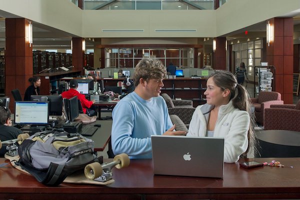 Students working in Library 