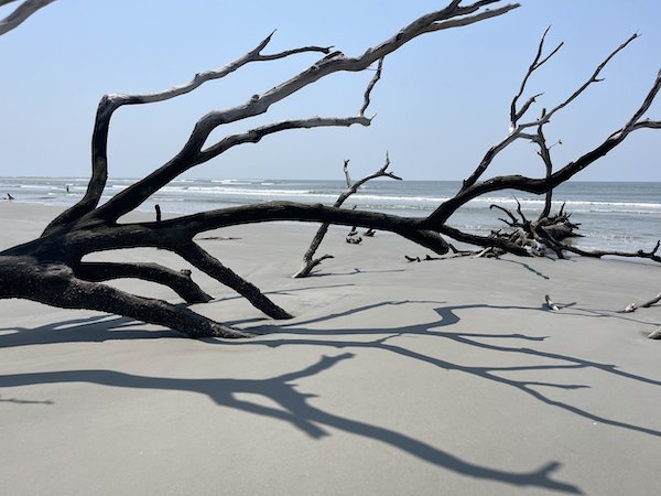 Erosion Tree Erosion Tree