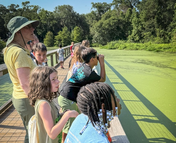 Mad Scientist Camp Cyrpus Wetlands