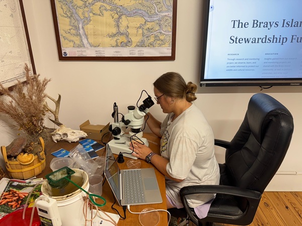 Layla Bowman analyzes fish collected from a light trap during her internship at Brays Island Nature Center.