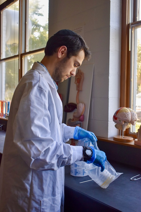 Matty working in the lab