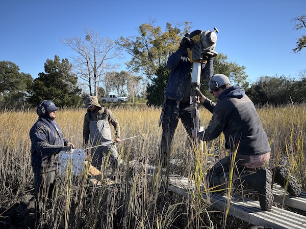 Students at the Salt Marsh