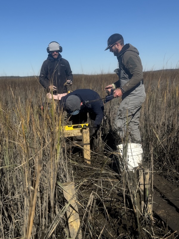 Students working at Salt Marsh