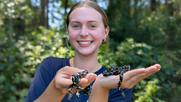 Snakes with intern